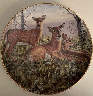 “spring Twins” Plate - Friends Of The Forest - Bruce Miller - Deer - Doe & Fawns - Danbury