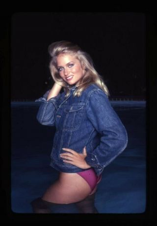 Donna Dixon Sexy Exotic Glamour Pin Up Photo Shoot Vintage 35mm Transparency
